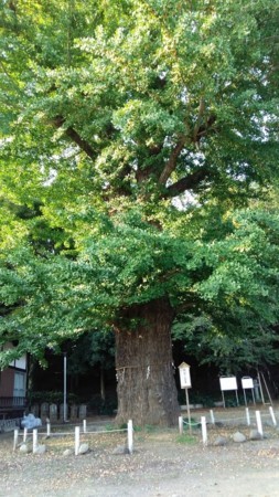 f:id:bzn-a:20170927204341j:image f:id:bzn-a:20170927204341j:image