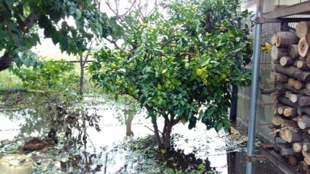 f:id:bzn-a:20171023172012j:image