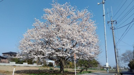 f:id:bzn-a:20180401105719j:image