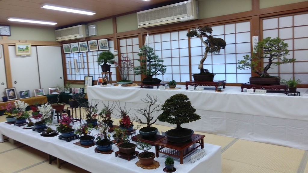 f:id:bzn-a:20190119002559j:plain f:id:bzn-a:20190119002559j:plain
