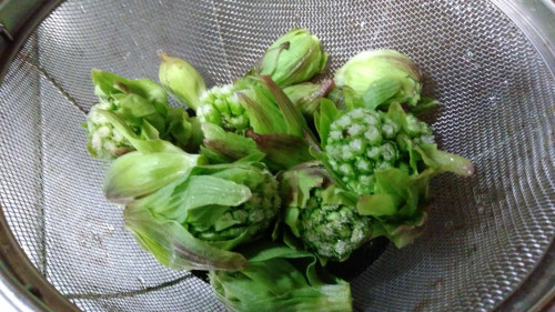 f:id:bzn-a:20190322231243j:plain