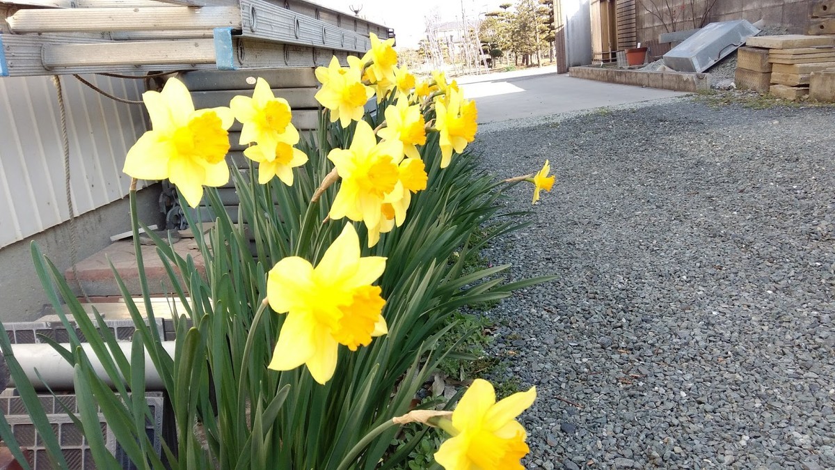 f:id:bzn-a:20190408115210j:plain f:id:bzn-a:20190408115210j:plain