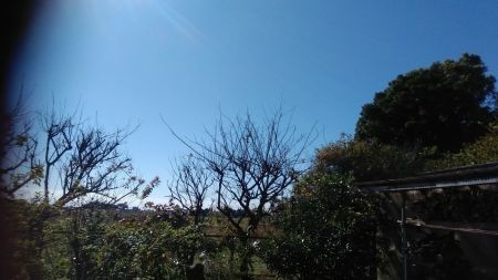 f:id:bzn-a:20201110001033j:plain