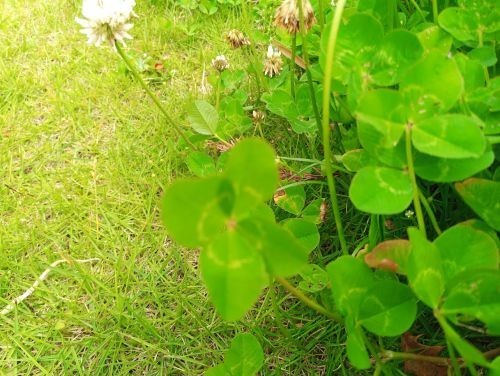 f:id:bzn-a:20210508225045j:plain