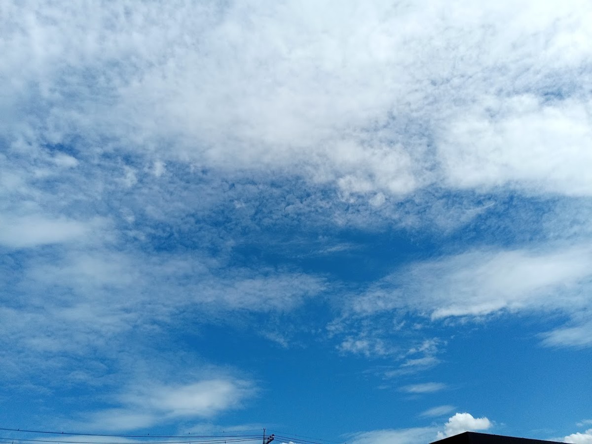 f:id:bzn-a:20210820143540j:plain