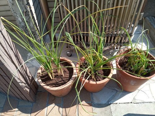 f:id:bzn-a:20220307140224j:plain