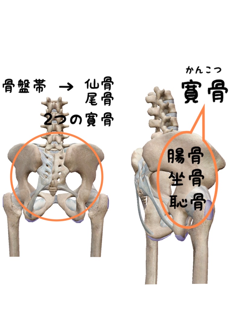 f:id:c-SoL:20191224114808j:image f:id:c-SoL:20191224114808j:image