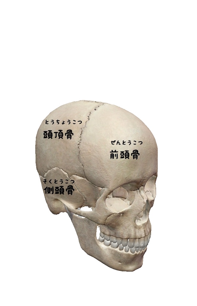 f:id:c-SoL:20191224115812j:image f:id:c-SoL:20191224115812j:image