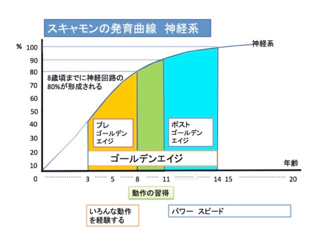 f:id:c-SoL:20200128142800j:image f:id:c-SoL:20200128142800j:image