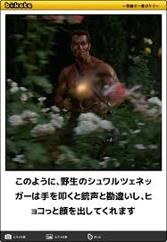 f:id:c-b-a-from466:20160906211110j:plain f:id:c-b-a-from466:20160906211110j:plain