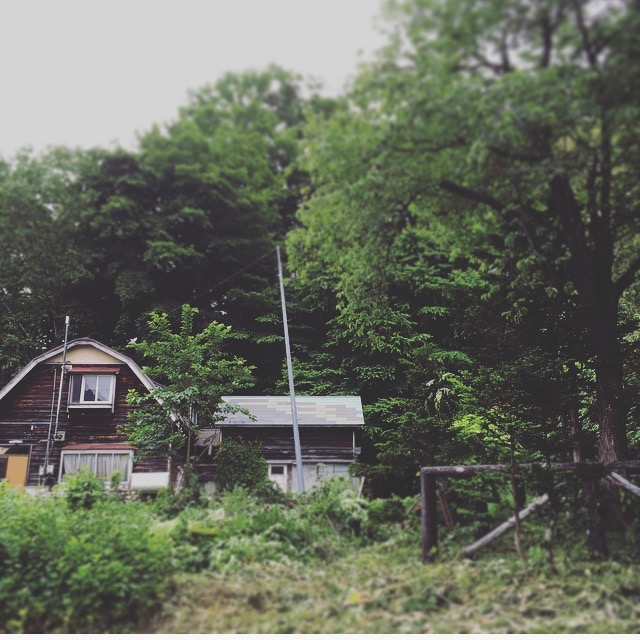 f:id:c-dacha:20200624230833j:plain