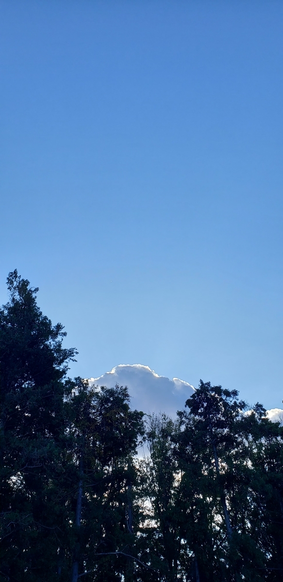 f:id:c-m-yorimichi:20210106182940j:plain