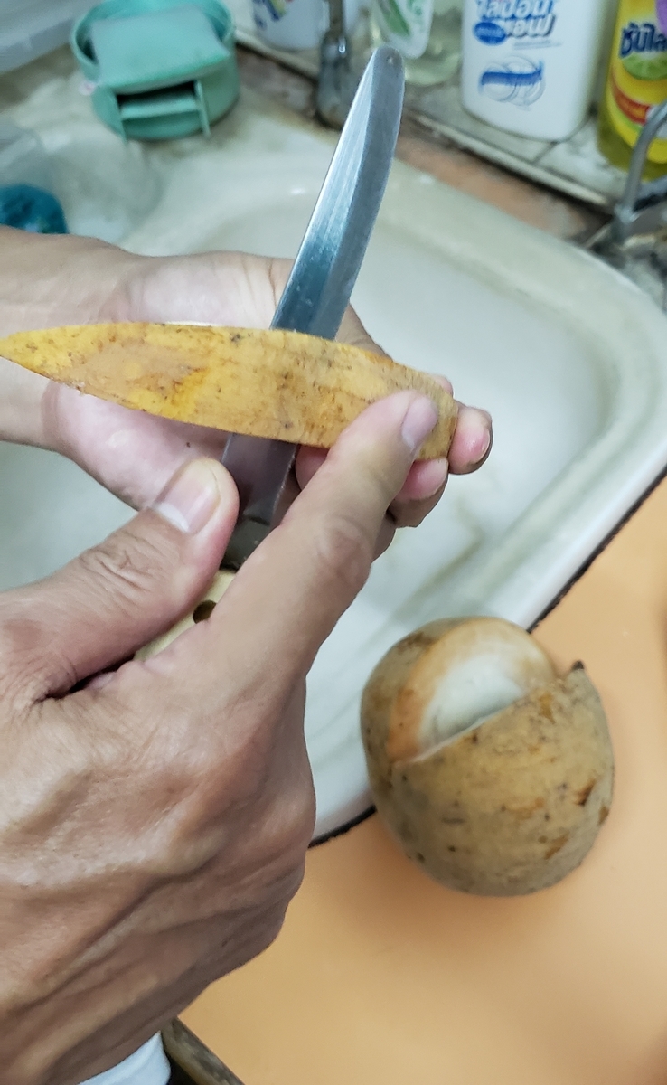 f:id:c-m-yorimichi:20210322184215j:plain