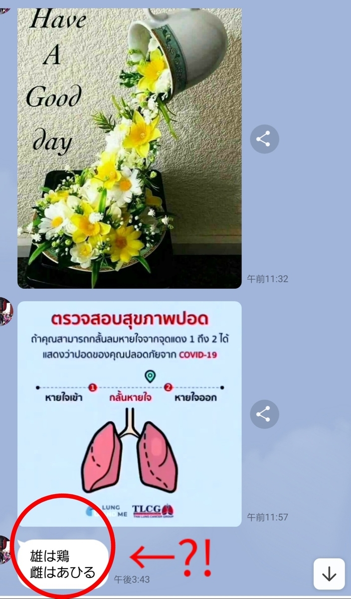 f:id:c-m-yorimichi:20210412165119j:plain