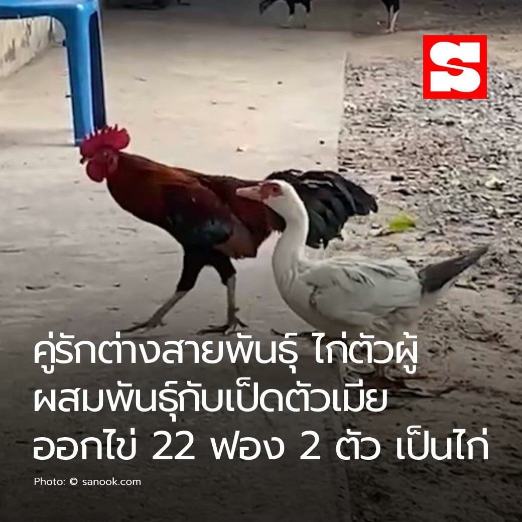 f:id:c-m-yorimichi:20210412165345j:plain