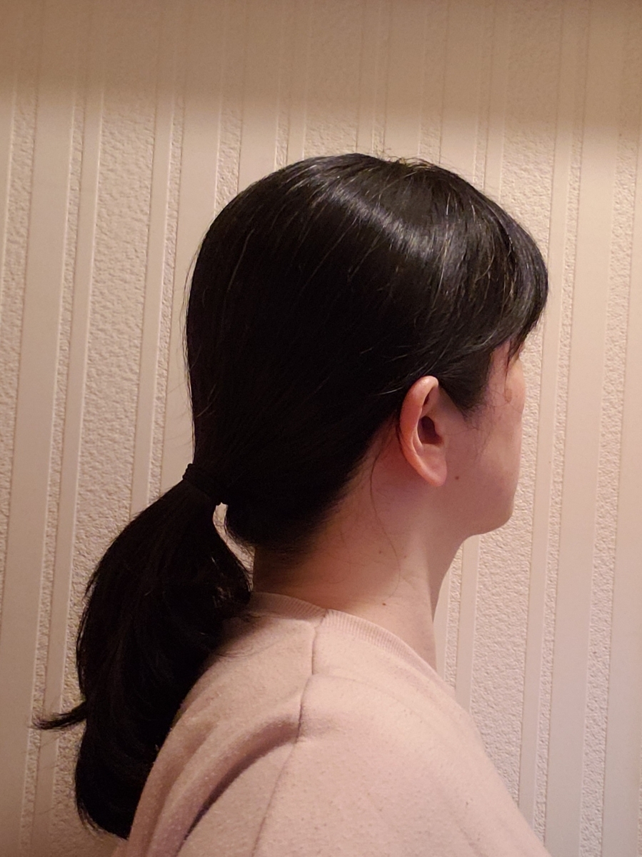 f:id:c-m-yorimichi:20210420192446j:plain