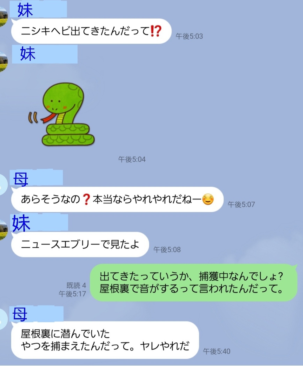 f:id:c-m-yorimichi:20210522210852j:plain