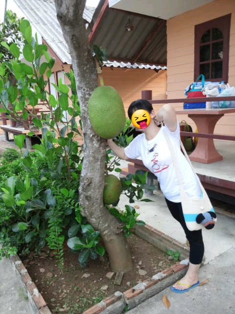 f:id:c-m-yorimichi:20220416172325j:plain