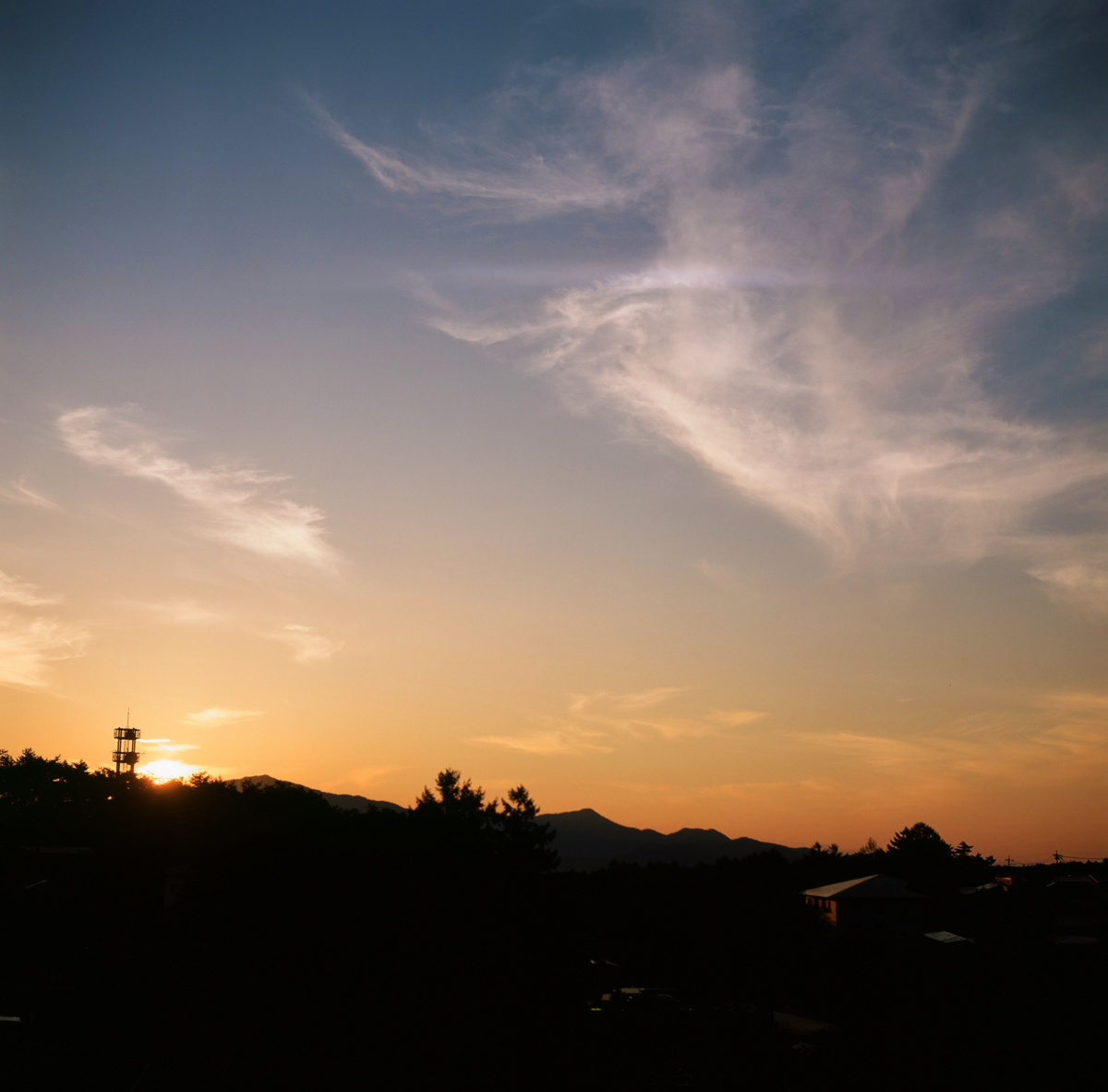 f:id:c-mitsuba:20190920230657p:plain