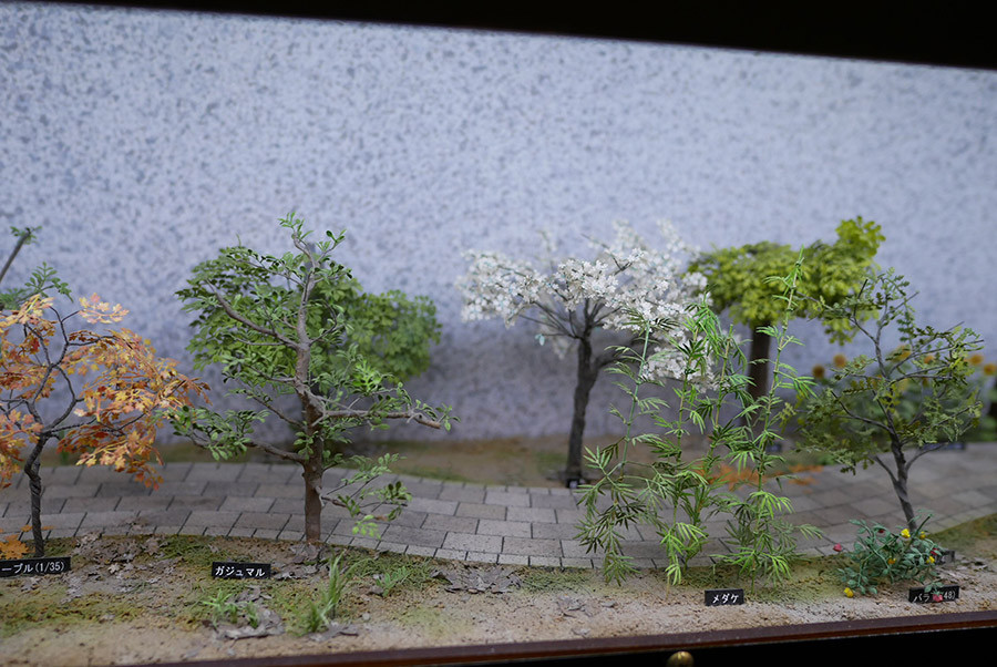 f:id:c-miya:20180514105035j:plain f:id:c-miya:20180514105035j:plain