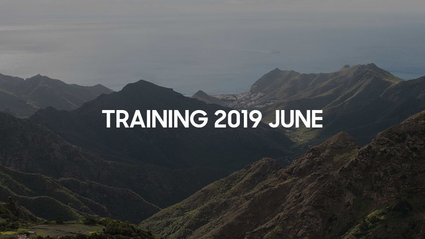 f:id:c-miya:20190630212834j:plain f:id:c-miya:20190630212834j:plain