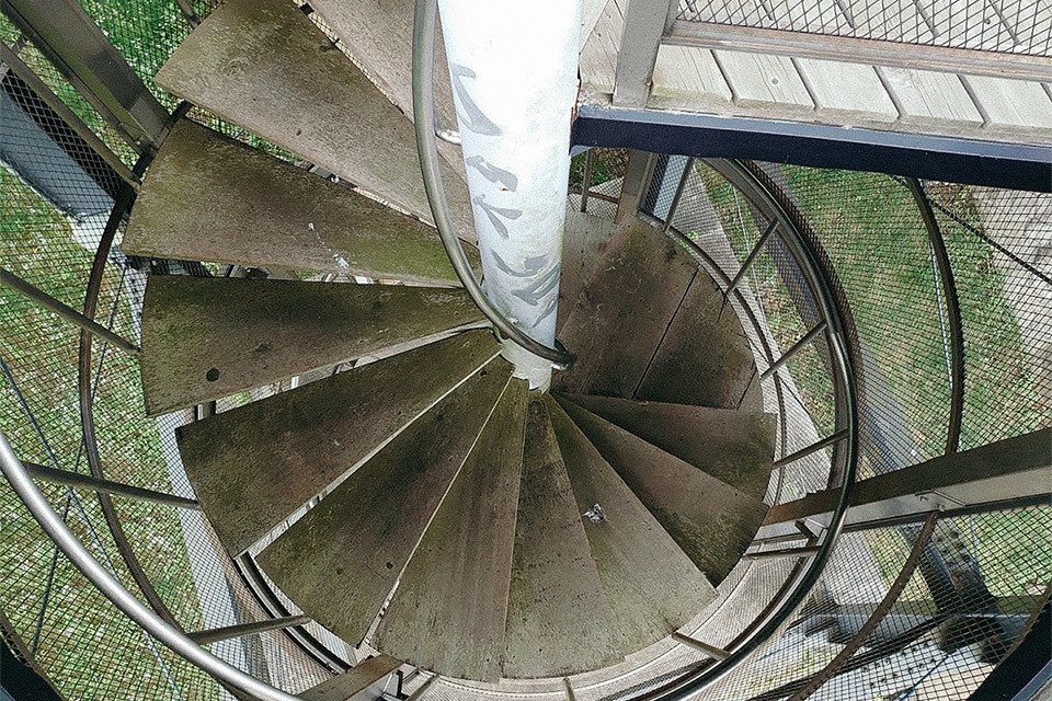 f:id:c-miya:20190714214811j:plain f:id:c-miya:20190714214811j:plain