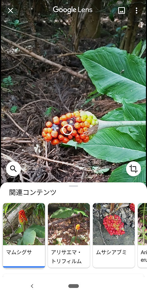 f:id:c-miya:20190812120215j:plain f:id:c-miya:20190812120215j:plain