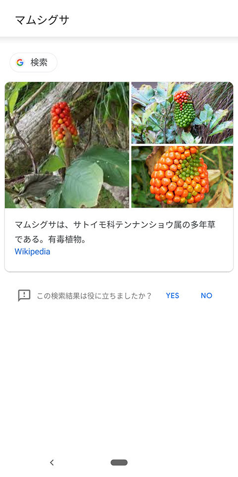 f:id:c-miya:20190812120216j:plain f:id:c-miya:20190812120216j:plain