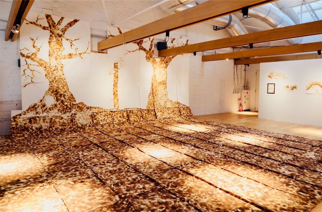 f:id:c-mizukawa:20180730143039j:image