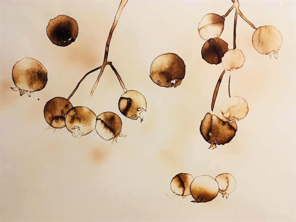 f:id:c-mizukawa:20180730163945j:image