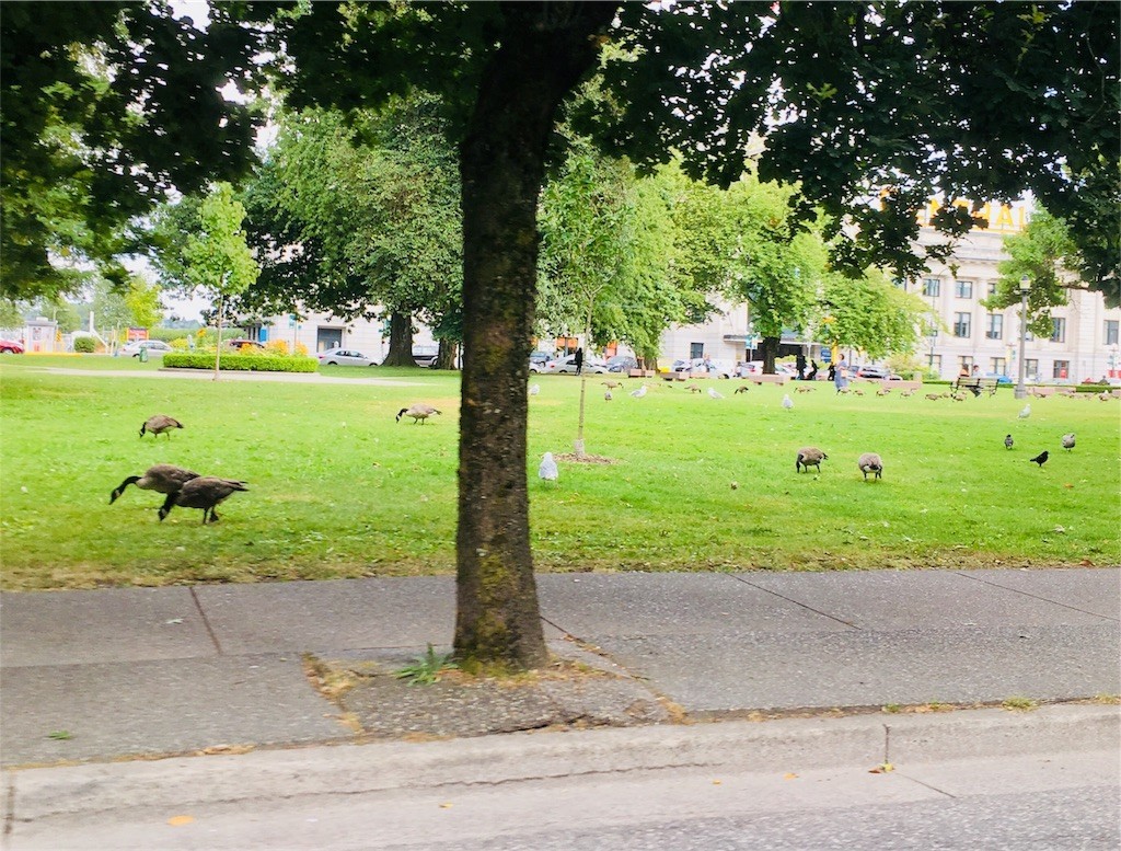 f:id:c-mizukawa:20180807101812j:image f:id:c-mizukawa:20180807101812j:image