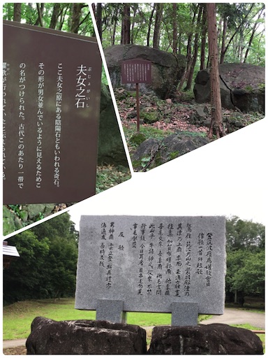 f:id:c-nuts:20200713190436j:image