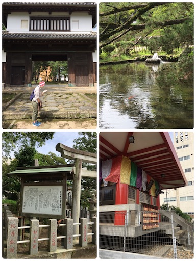 f:id:c-nuts:20200731075619j:image