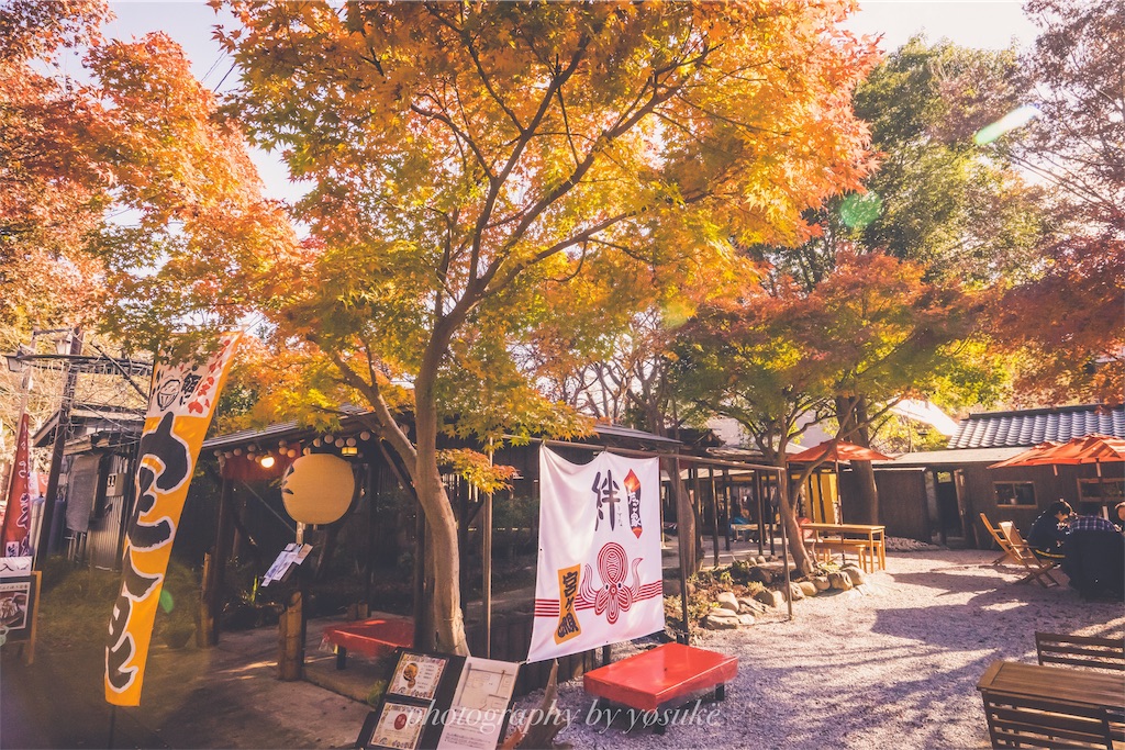 神奈川の紅葉スポット 宮ヶ瀬湖で紅葉撮ってきました Yo Log