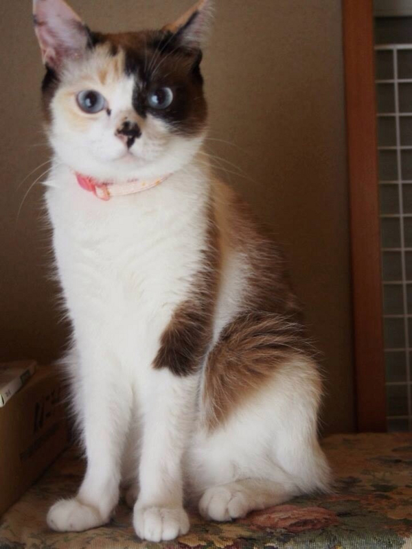 投稿写真