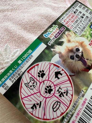 f:id:c-she-c:20250708164742j:image