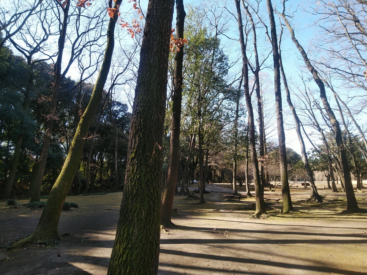 f:id:c117afujiwara:20210302203538j:plain
