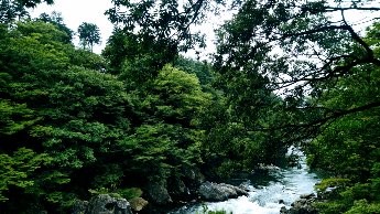 f:id:c117afujiwara:20210905093933j:plain