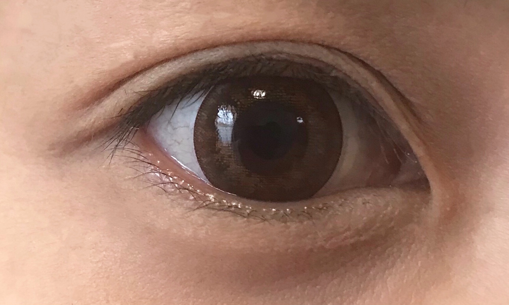f:id:c2830:20190815133939j:image