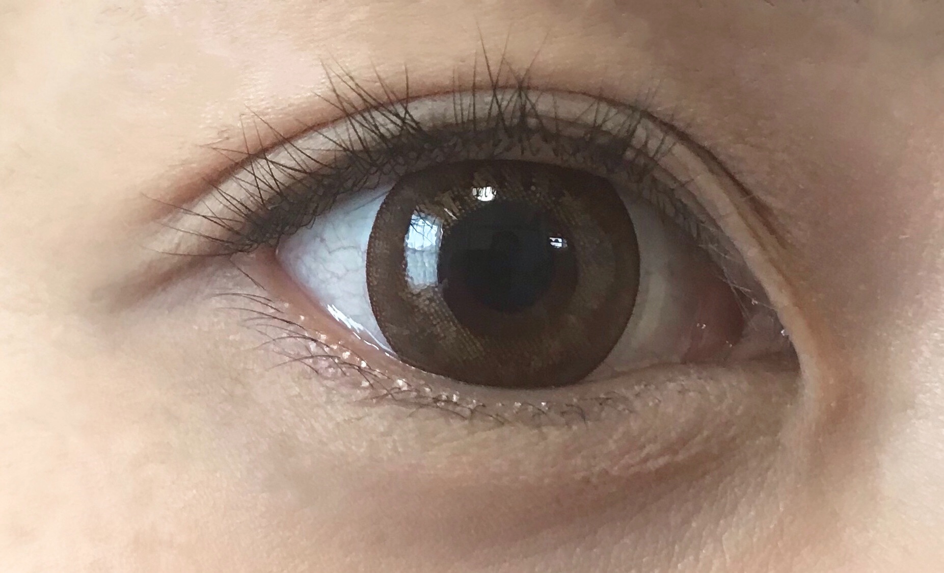 f:id:c2830:20190815133956j:image
