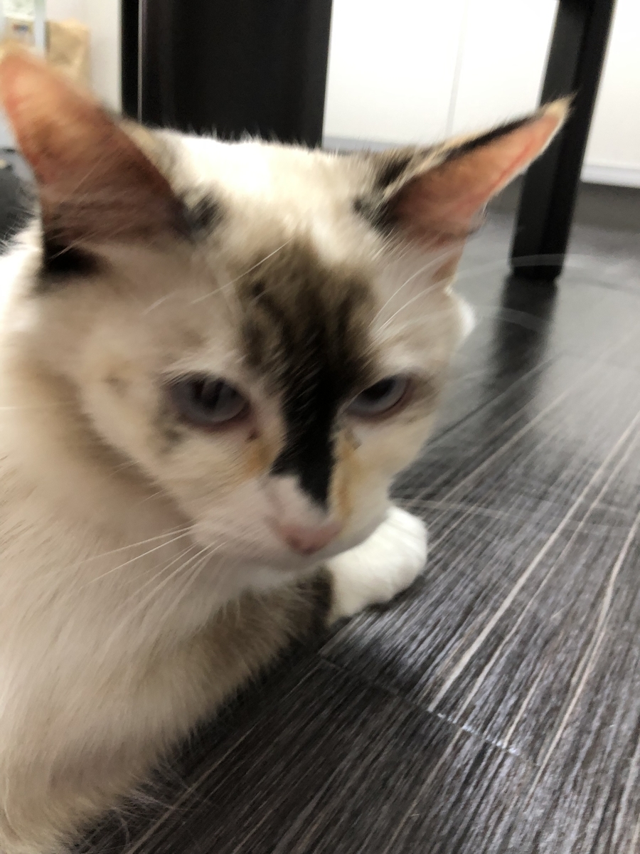 f:id:c2_levy_toan:20190712125803j:plain f:id:c2_levy_toan:20190712125803j:plain