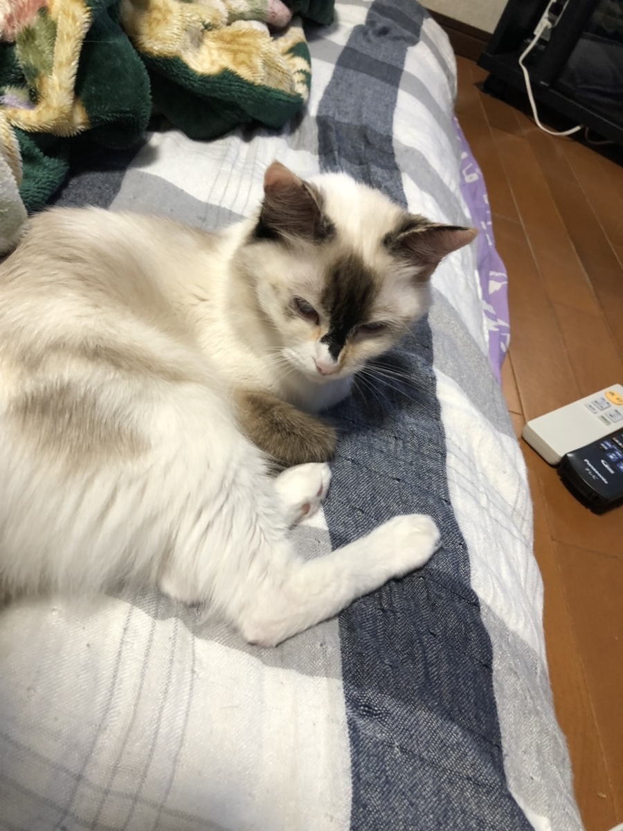 f:id:c2_levy_toan:20190730161511j:plain f:id:c2_levy_toan:20190730161511j:plain