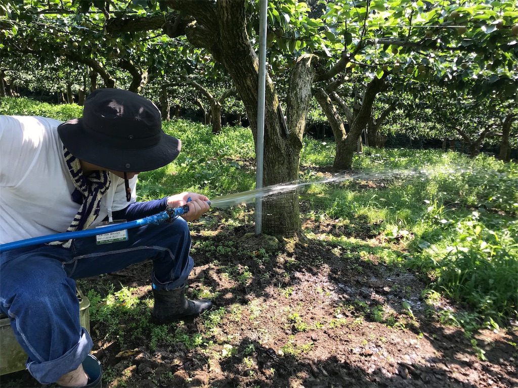 f:id:c3po3:20190827173619j:image f:id:c3po3:20190827173619j:image