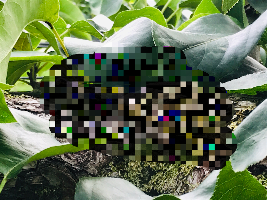 f:id:c3po3:20201109114616p:image