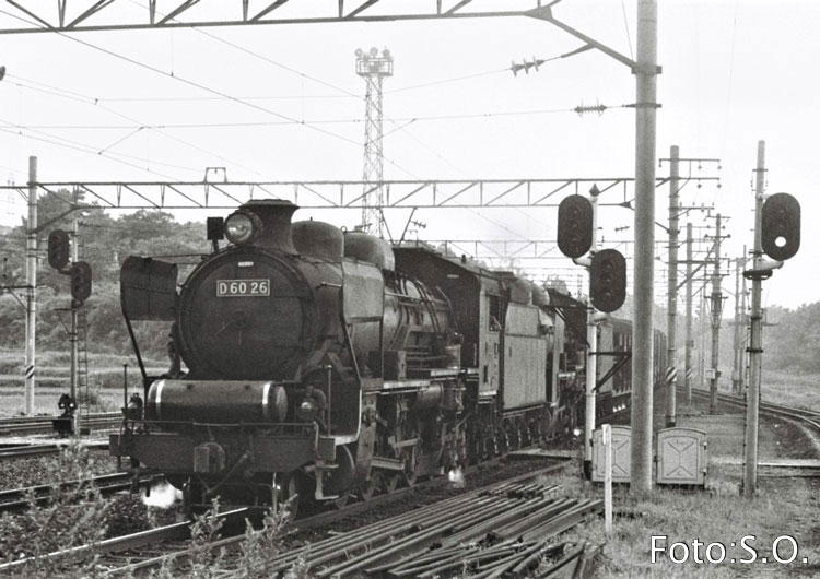 D6026とD6060 - 転轍器