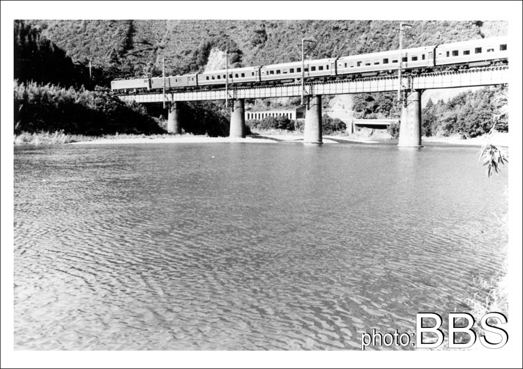 宮崎・大分県境を行く名列車 - 転轍器