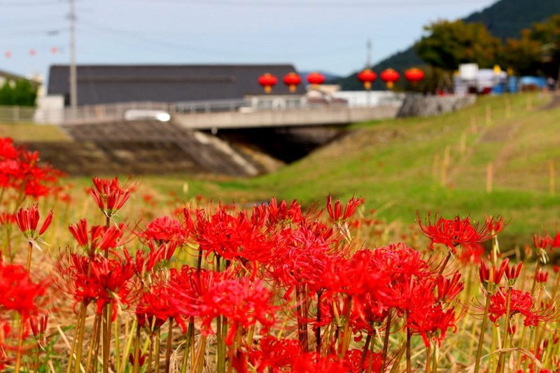 f:id:c571sh:20150923200707j:image