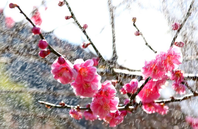 f:id:c571sh:20170214231324j:image