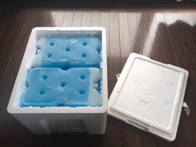 f:id:c6amndbgr3:20180926131520j:plain