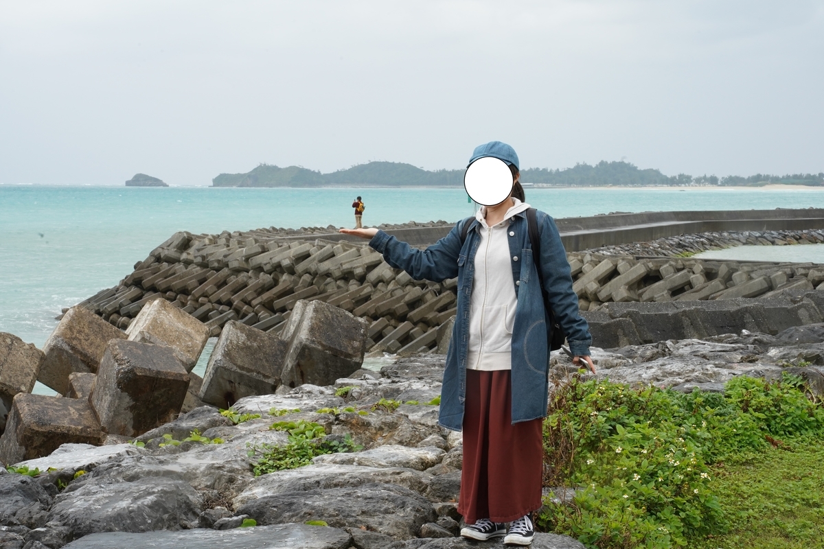 f:id:c6h1o9:20200604224133j:plain